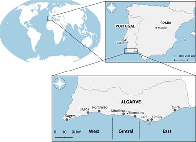 Harnessing the Power of Social Media to Obtain Biodiversity Data About Cetaceans in a Poorly Monitored Area